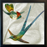 Two Flying Hummingbirds. Mini Print
