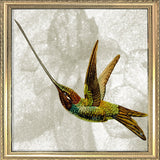 Flying Hummingbird. Mini Print