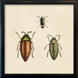 Three Beetles. Mini Print