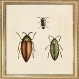 Three Beetles. Mini Print