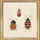Three Beetles. Mini Print