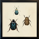 Two Beetles. Mini Print