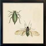 Two Green Insects. Mini Print