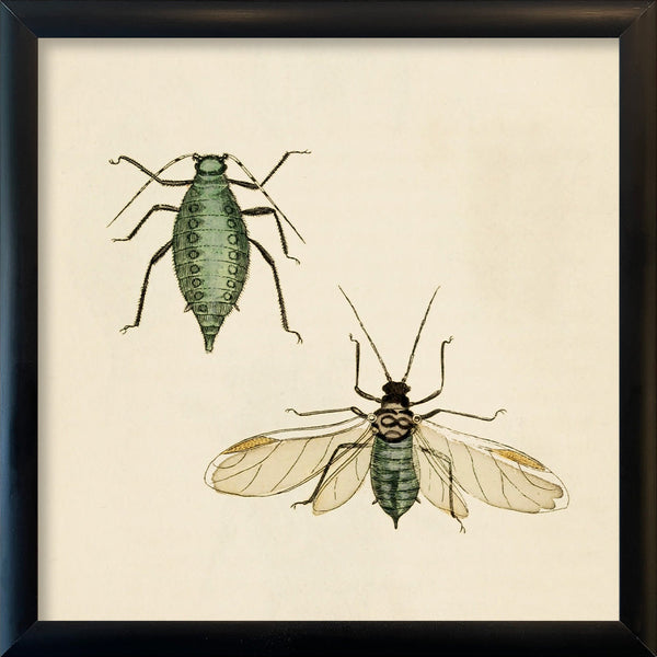 Two Green Insects. Mini Print