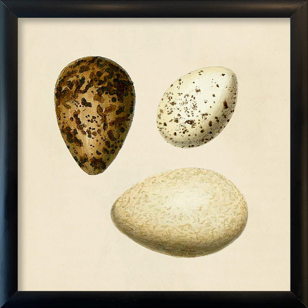 Three Eggs. Mini Print