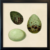 Three Green Eggs. Mini Print