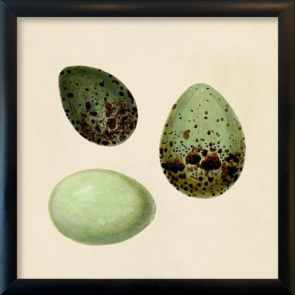 Three Green Eggs. Mini Print
