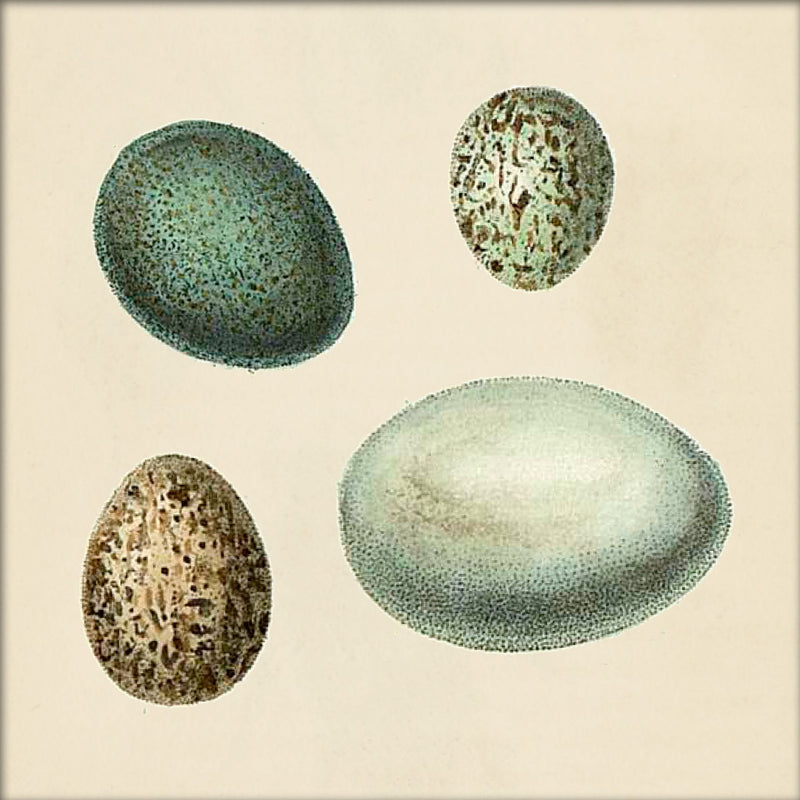 Four Green Eggs. Mini Print