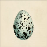 Mint Green Dotted Egg. Mini Print