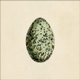 Mint Green Dotted Egg. Mini Print