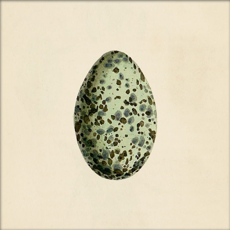 Mint Green Dotted Egg. Mini Print