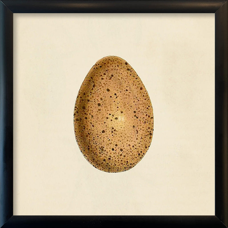 Brown Dotted Egg. Mini Print