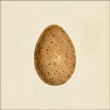 Brown Dotted Egg. Mini Print