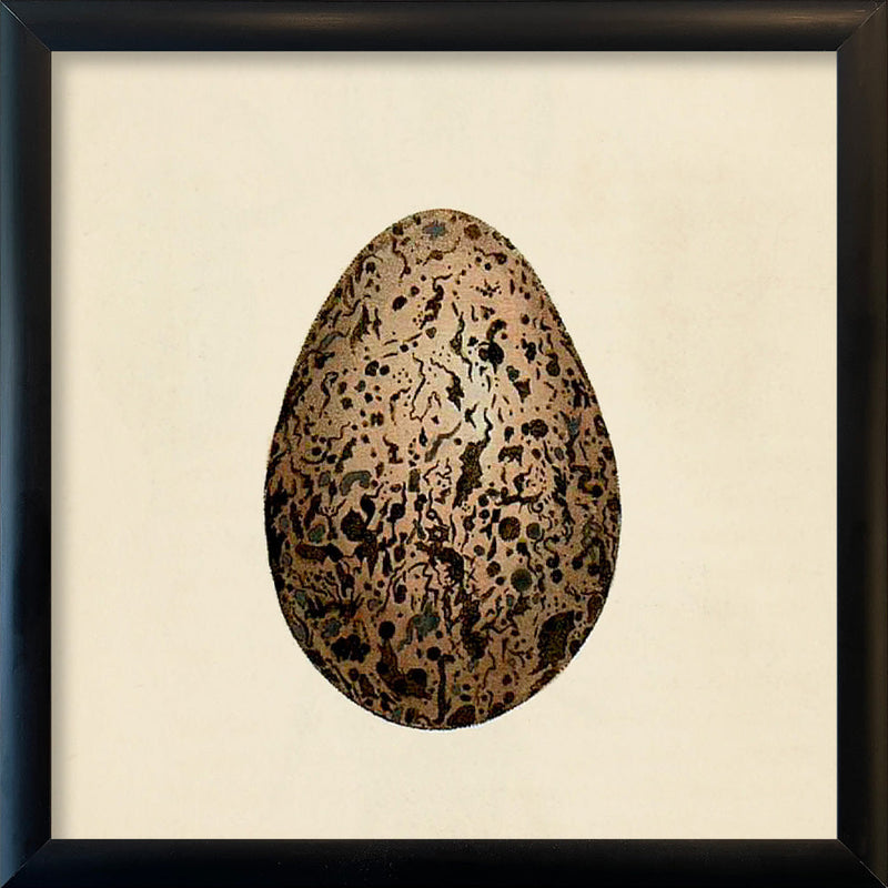 Brown Dotted Egg. Mini Print