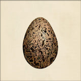 Brown Dotted Egg. Mini Print