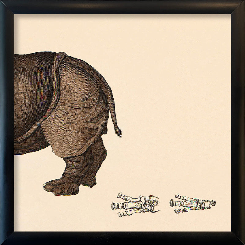 Rhinoceros Rear. Mini Print