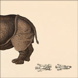 Rhinoceros Rear. Mini Print
