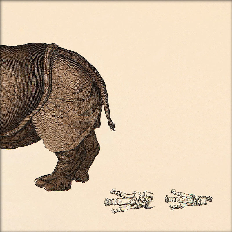 Rhinoceros Rear. Mini Print