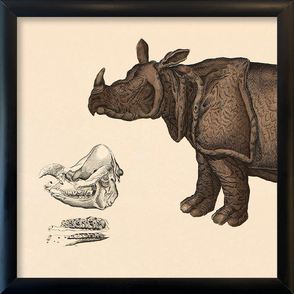 Rhinoceros Front. Mini Print