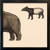Elephant Rear and Tapir. Mini Print