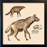 Two Striped Hyenas. Mini Print
