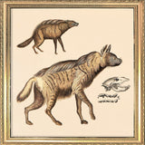 Two Striped Hyenas. Mini Print