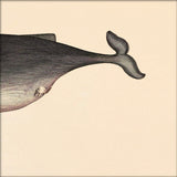 Whale Rear. Mini Print