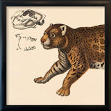 Leopard Front. Mini Print