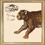 Leopard Front. Mini Print