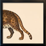 Leopard Rear. Mini Print