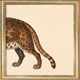 Leopard Rear. Mini Print