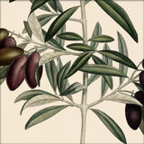 Olive Close Up. Mini Print