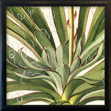 Yucca Close Up. Mini Print
