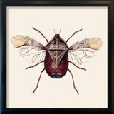 Dark Red Insect. Mini Print