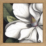 White Magnolia Close Up. Mini Print