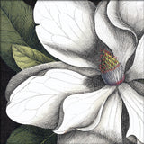 White Magnolia Close Up. Mini Print