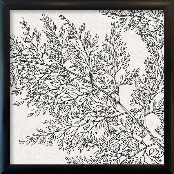 Botanical Study XIII. Mini Print