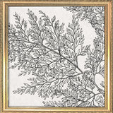 Botanical Study XIII. Mini Print