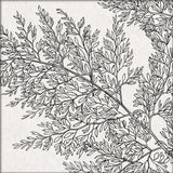 Botanical Study XIII. Mini Print