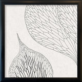 Botanical Study XIV. Mini Print