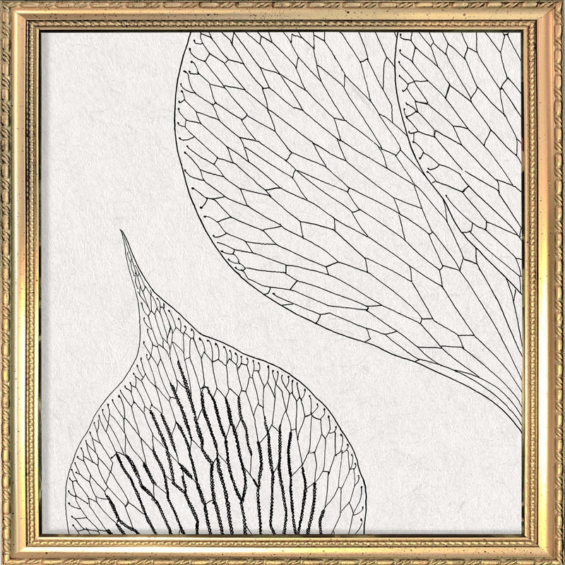 Botanical Study XIV. Mini Print