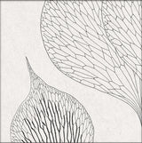 Botanical Study XIV. Mini Print