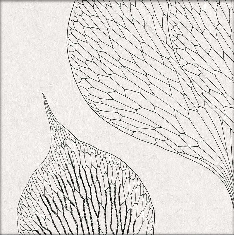 Botanical Study XIV. Mini Print