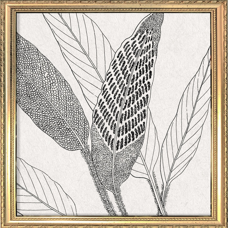 Botanical Study XV. Mini Print