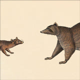 Ring-Tailed Cat Head and Raccoon Head. Mini Print