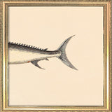 Sword Fish Rear. Mini Print