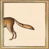 Fox Rear. Mini Print