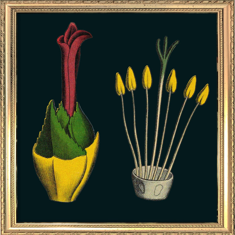 Pineapple Details. Mini Print