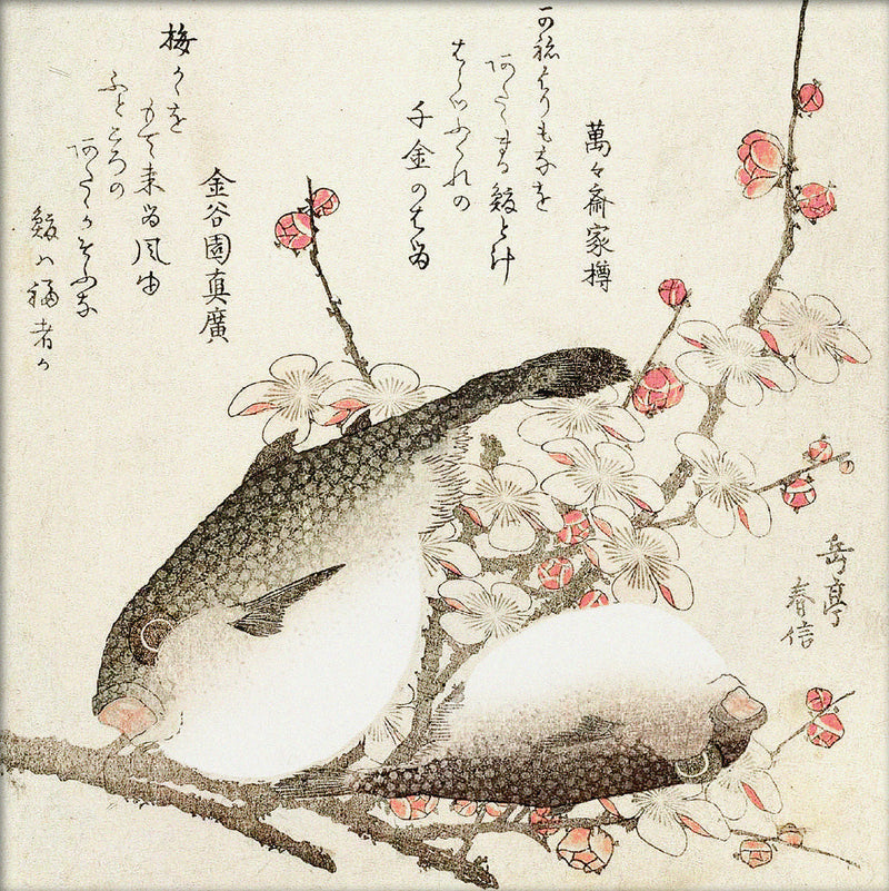 Pufferfish. Mini Print