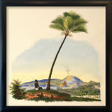 Palm and Man. Mini Print